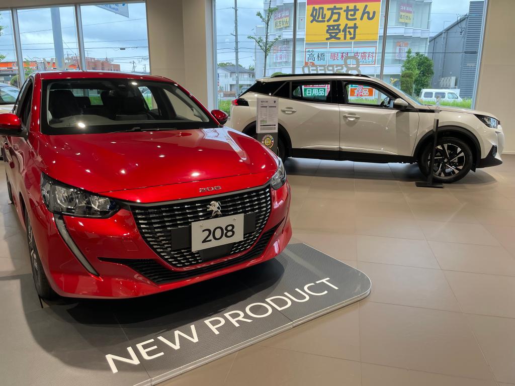 小さなライオンフェア！