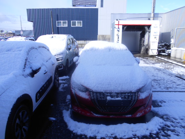 雪が降りました