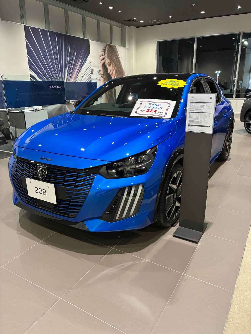 PEUGEOT LION HYBRID FAIR✨